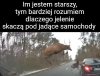 Żonaci wiedzą.