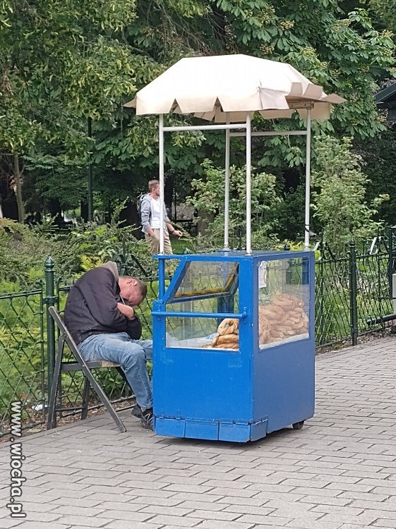 Sprzedawca precli.