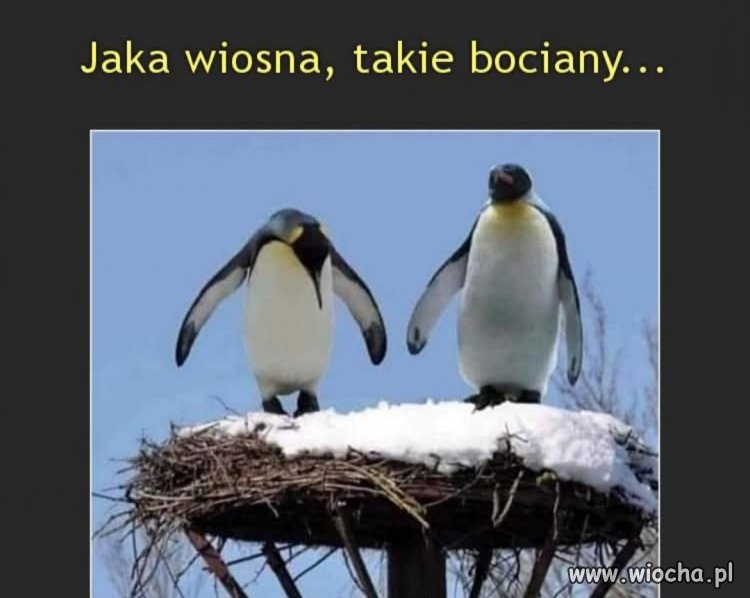 Wiosna w tym roku