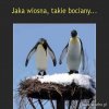 Wiosna w tym roku