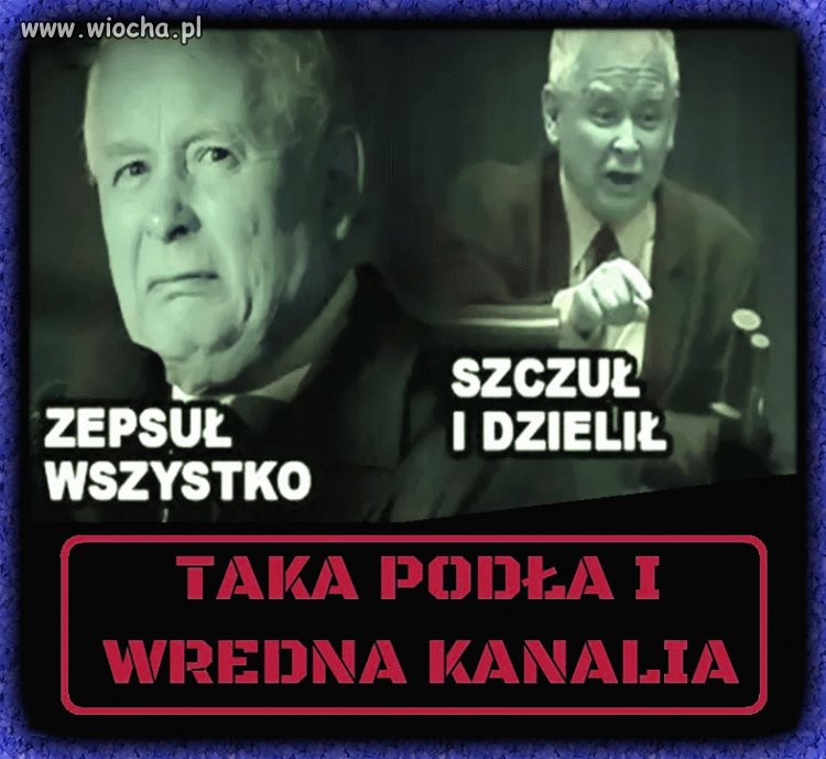 Stary zgryźliwy tetryk