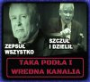 Stary zgryźliwy tetryk