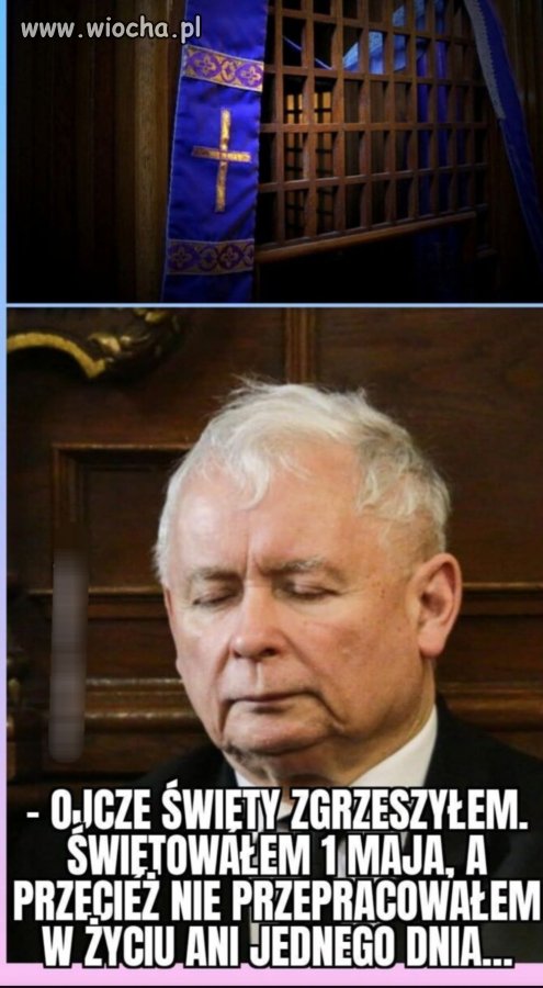 Spowiedź kaczora 