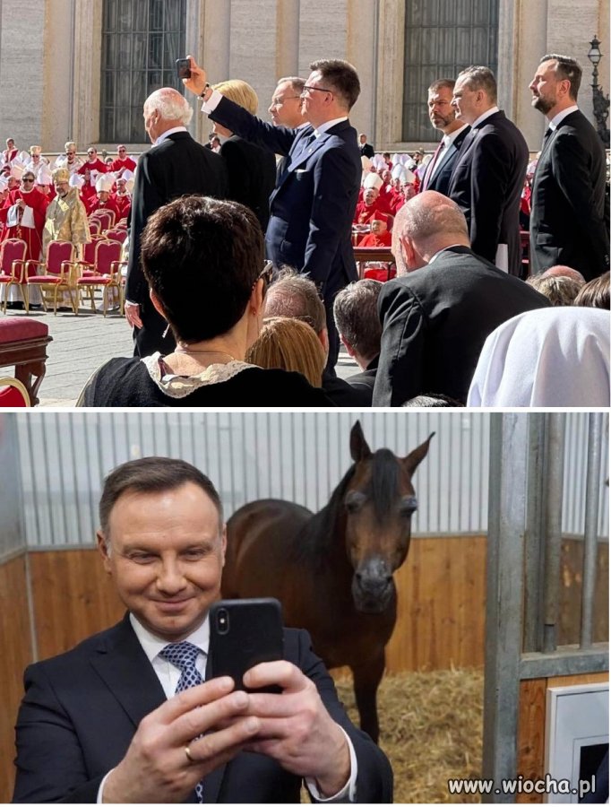 Wspólne zainteresowania