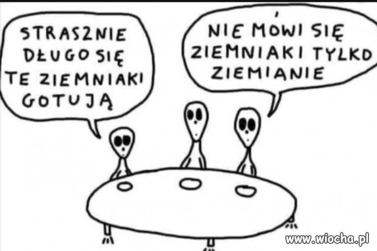 Ziemniaki 
