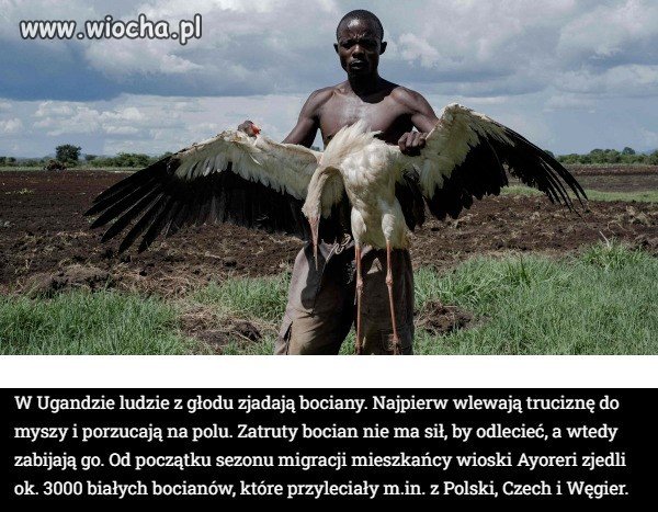 Bez komentarza