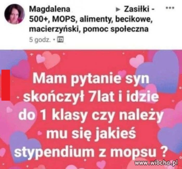 Stypendium dla każdego