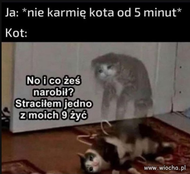 Na poprawę humoru 