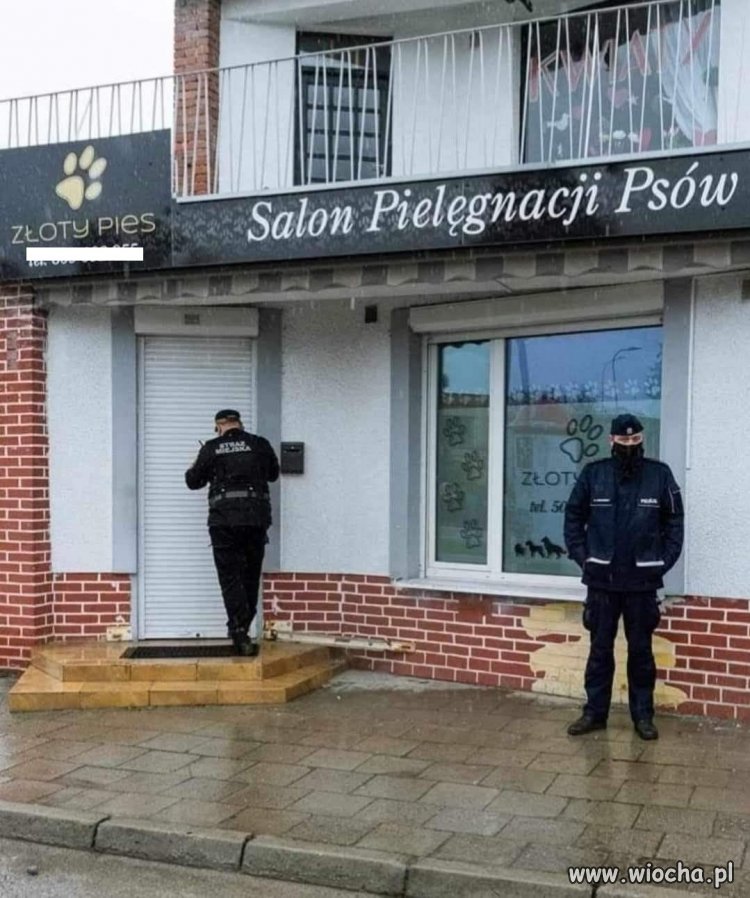 Salon