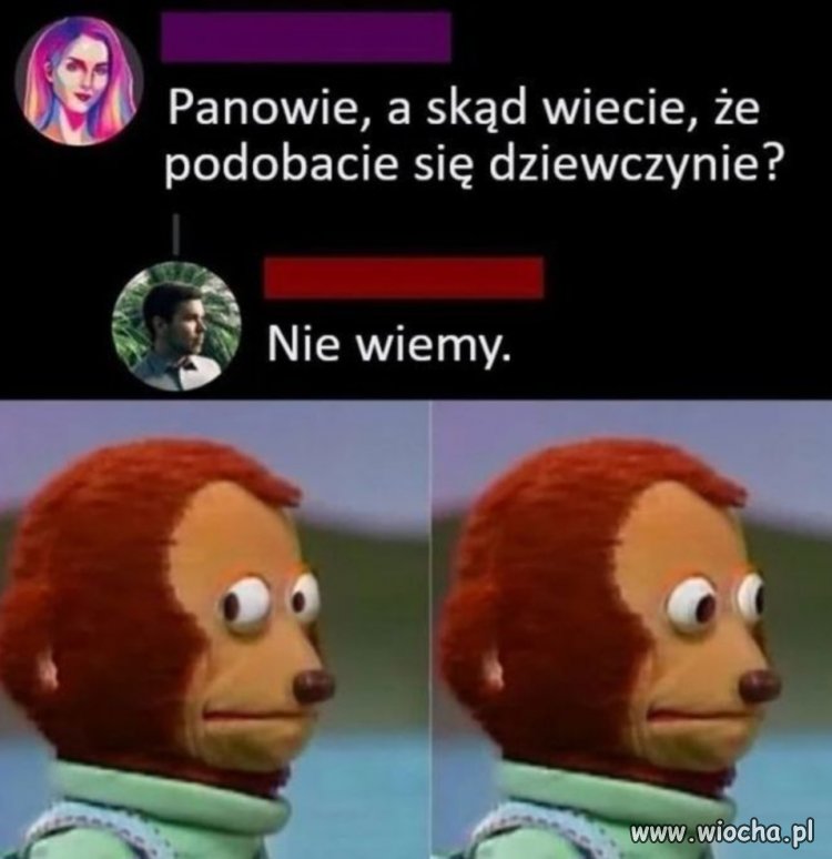 Nie wiemy 