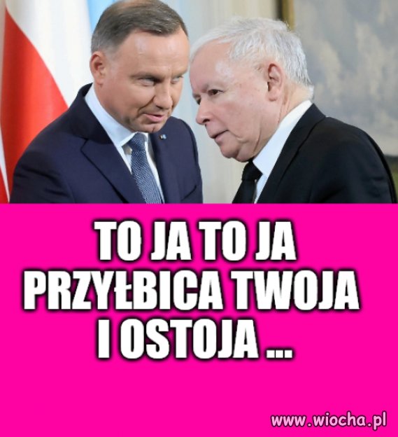 Szparka długopisiarka