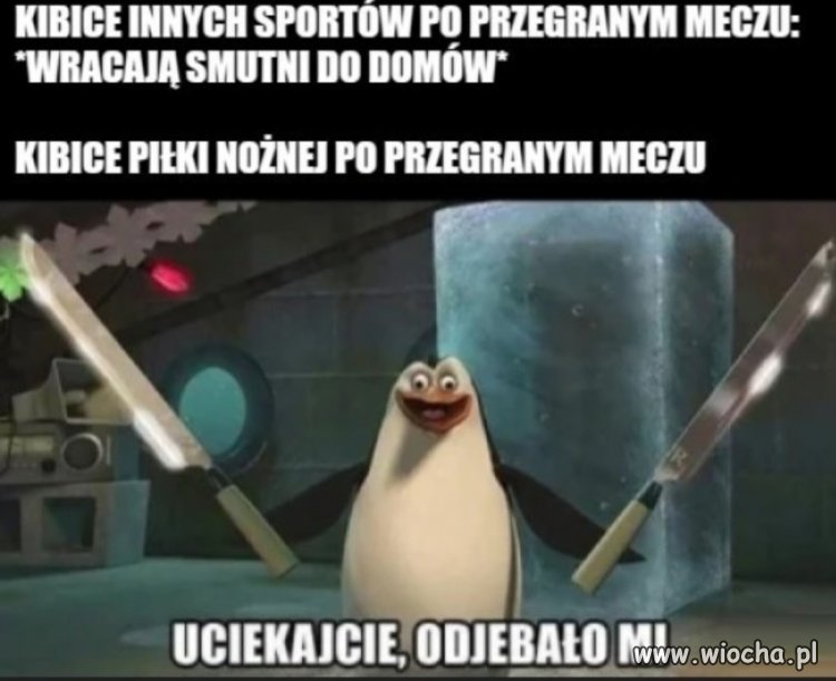 Kibole to nie ludzie 