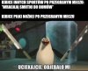 Kibole to nie ludzie 
