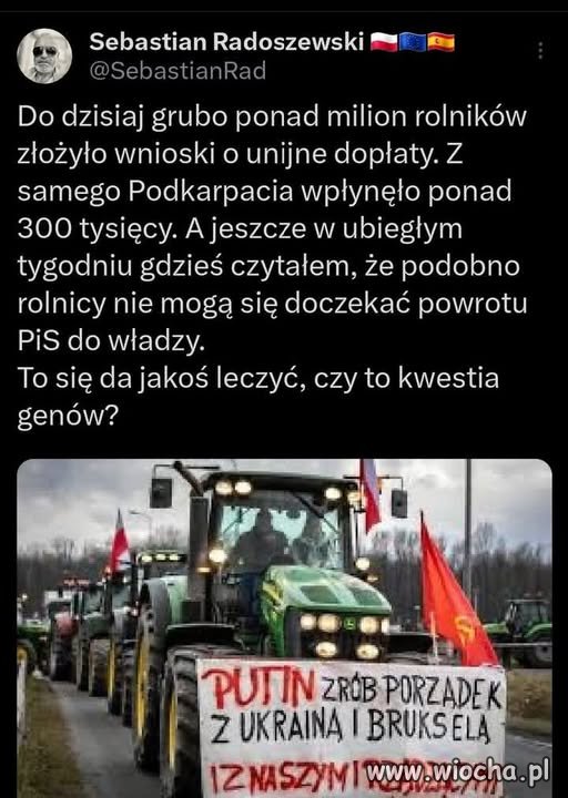 Wyborcy Nawrockiego.
