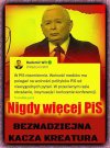 Tak to wygląda
