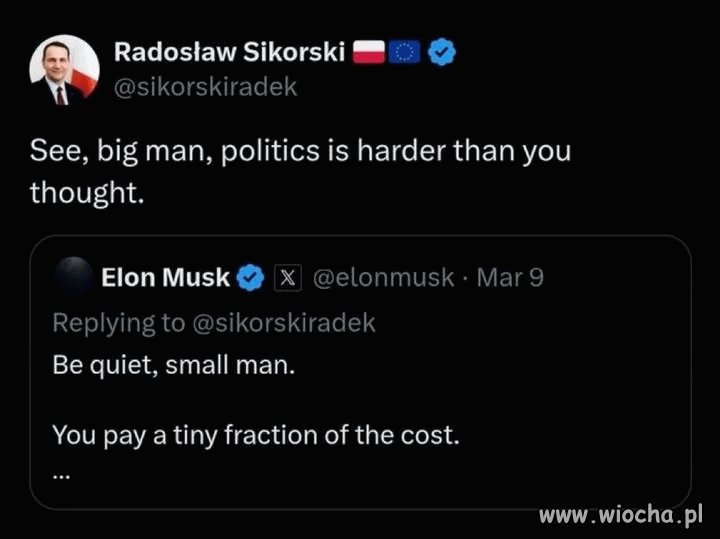 Polityka przerosła Elona Muska