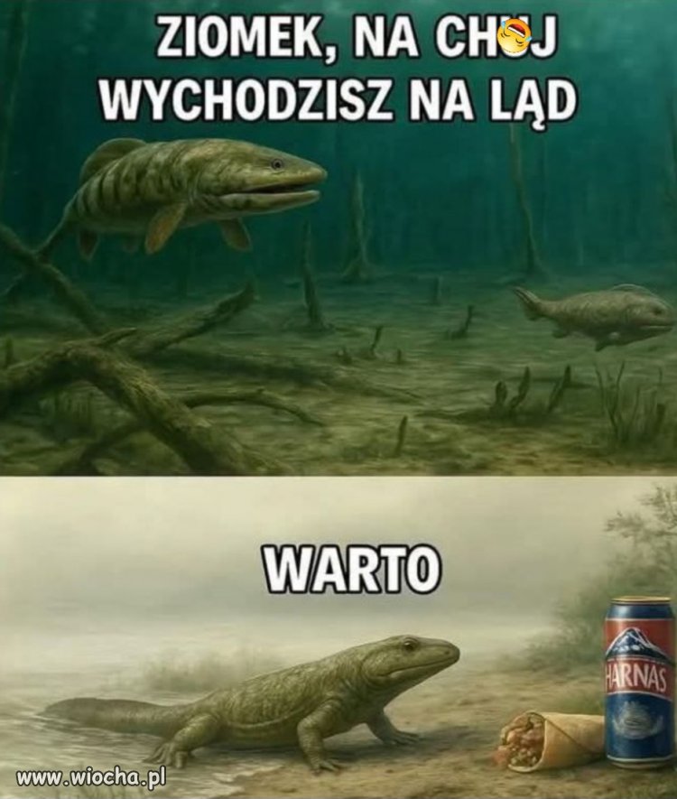 Warto było 