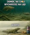 Warto było 
