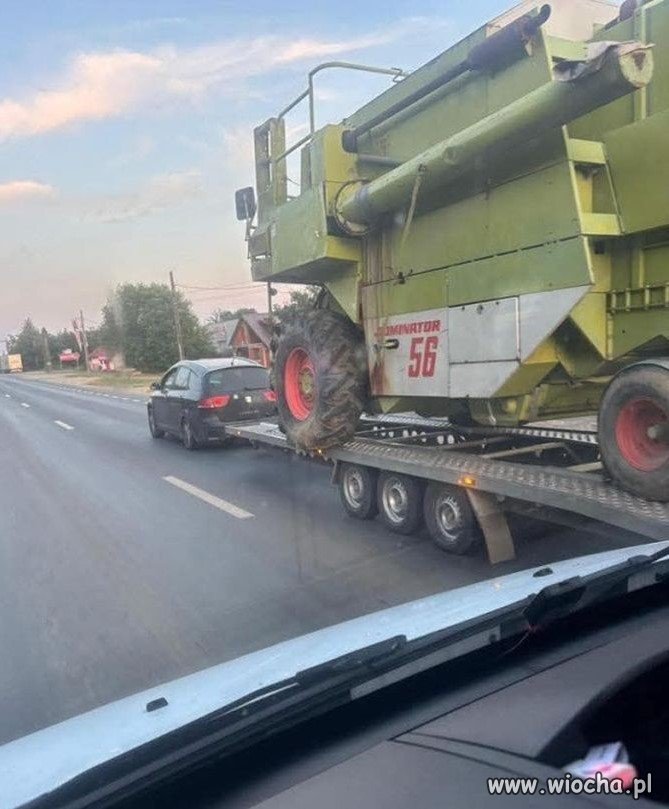 Mały ale wariat