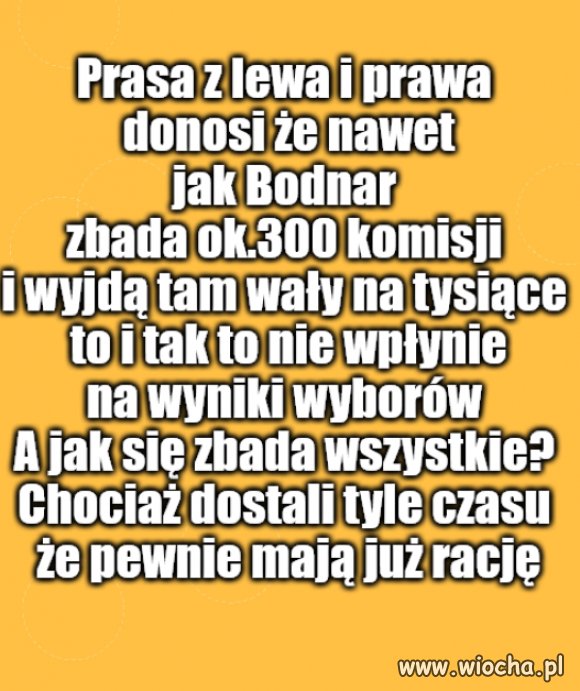 Jesteśmy bydłem, bo tak dajemy się traktować