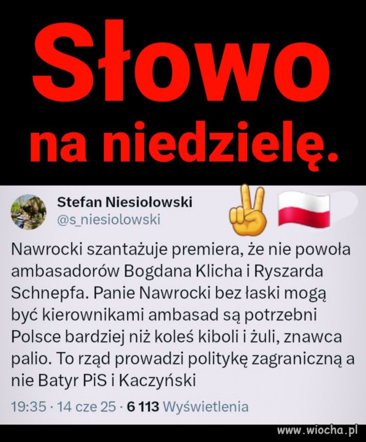 Prof. Niesiołowski bez znieczulenia !