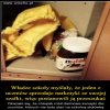 Bo w szkołach trzeba płacić 