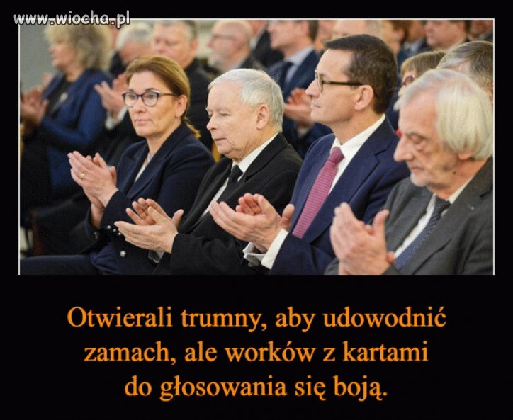 Pisowskie bydlęta