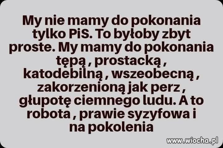 Podobno z głupotą nikt nie wygrał...