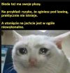 Taka sytuacja 