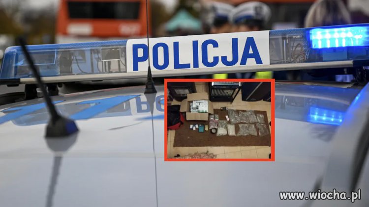  Polityk Konfederacji aresztowany.