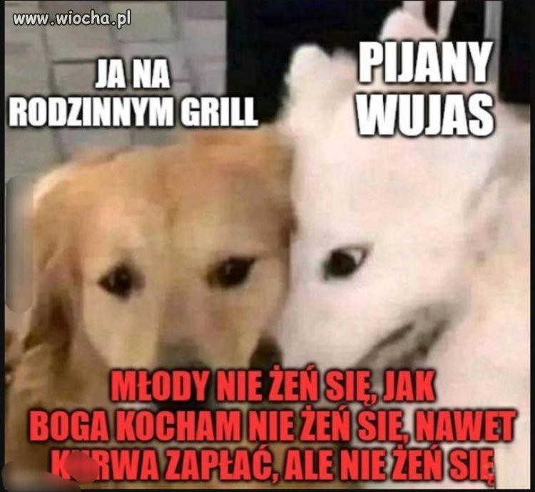 I tak się nasłuch, nasłucha 