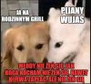 I tak się nasłuch, nasłucha 