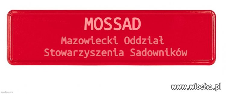 To oni stoją za wysokimi
