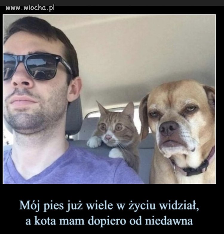 Nowy w zespole 