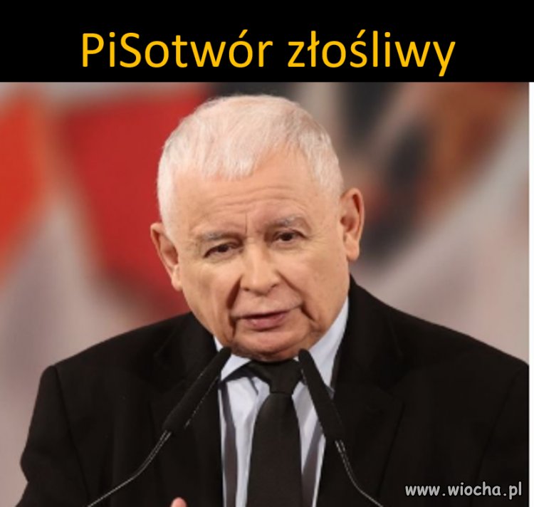 Diagnoza (polityczna)