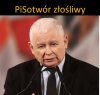 Diagnoza (polityczna)