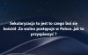 Macie na to jakieś dobre pomysły ?