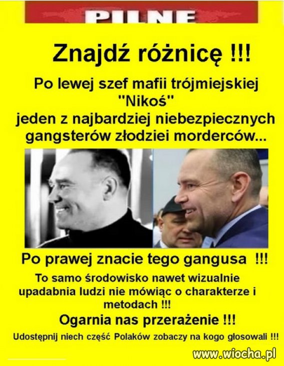Syn gangusa prezydentem w Polsce?