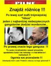 Syn gangusa prezydentem w Polsce?