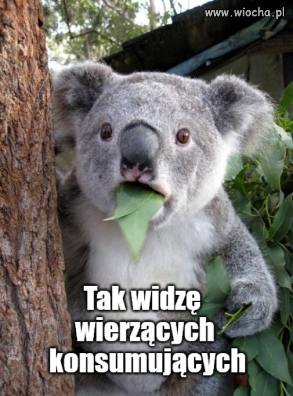 Kaprawym okiem ateisty patrząc ...