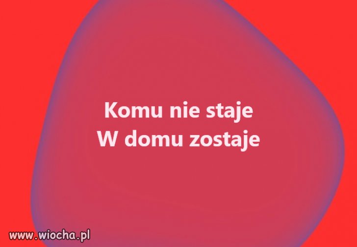 Wszyscy idą głosować!