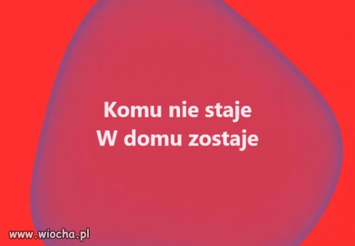 Wszyscy idą głosować!