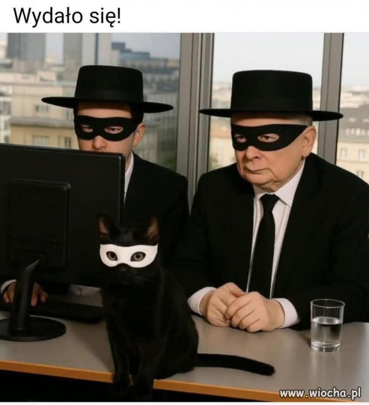 Sprytny jak PIS-owiec