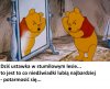 Taki dżentelmen agriment...