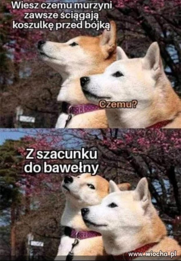 Bez polityki i religii 