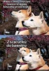 Bez polityki i religii 