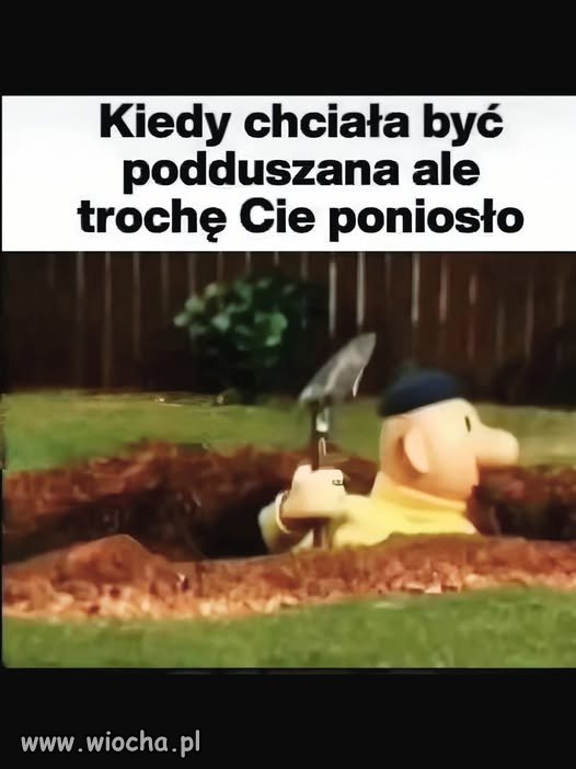Takie tam w konfederacji