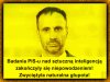 Nie dziwi mnie to