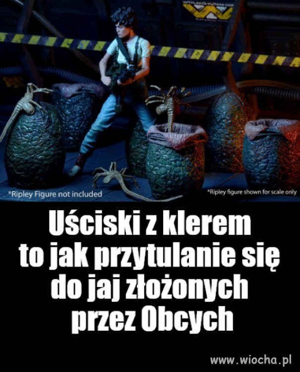Ogólnie, to jak przytulanie się do jaj. Wielu jaj.
