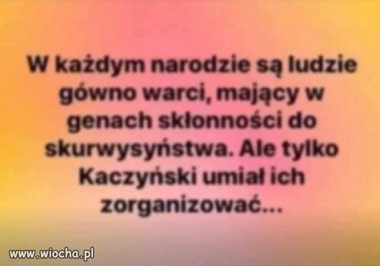 Nikt tak nie ogłupił i zdegenerował narodu jak PiS z KK!